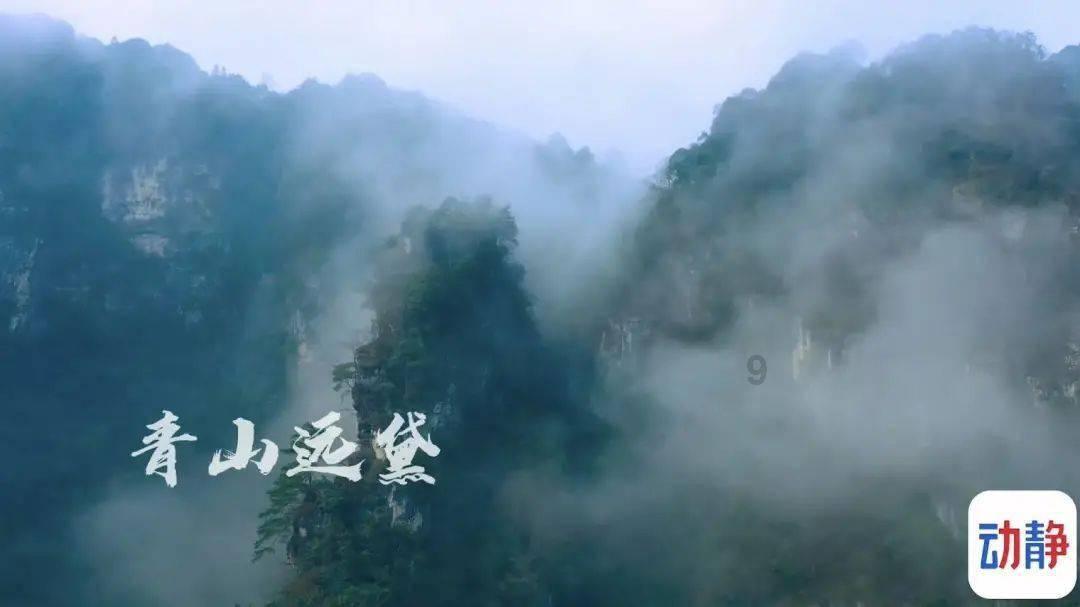 探索知识,尽在买新房如何砍价?能砍下去多少是什么决定的?!