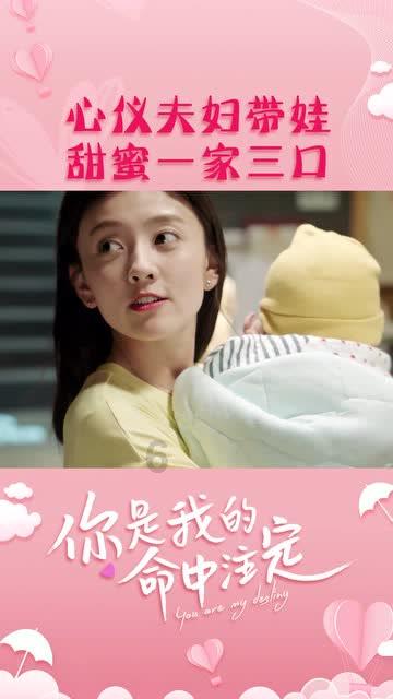如果出生人口持续减少，这个国家会怎样？